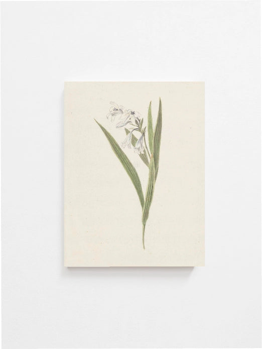 Vintage Flower Art Print 8x10