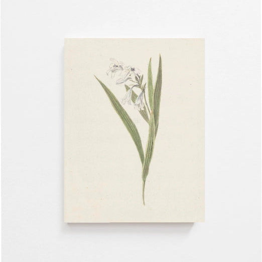 Vintage Flower Art Print 8x10