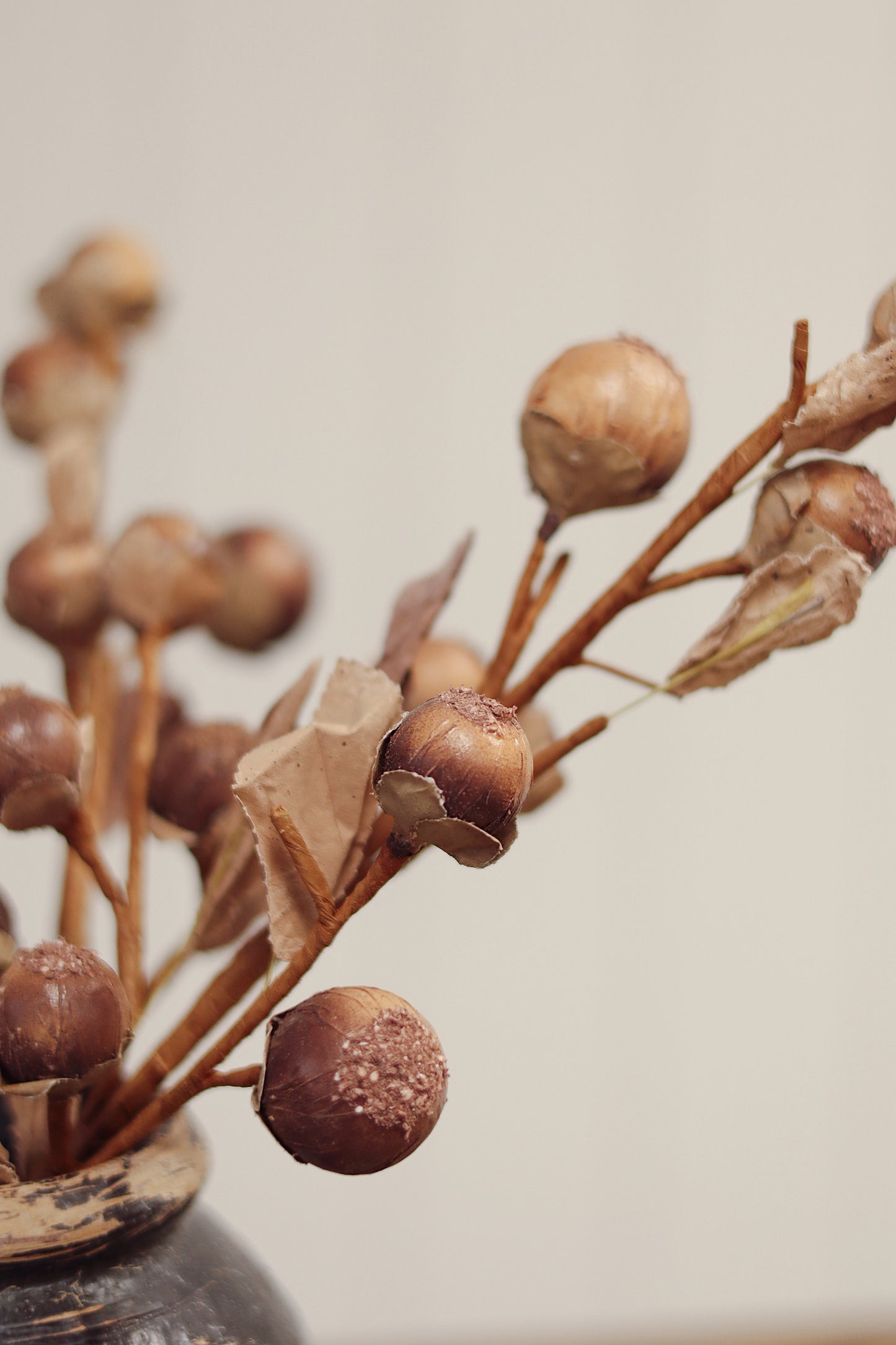 Autumn Nut Spray