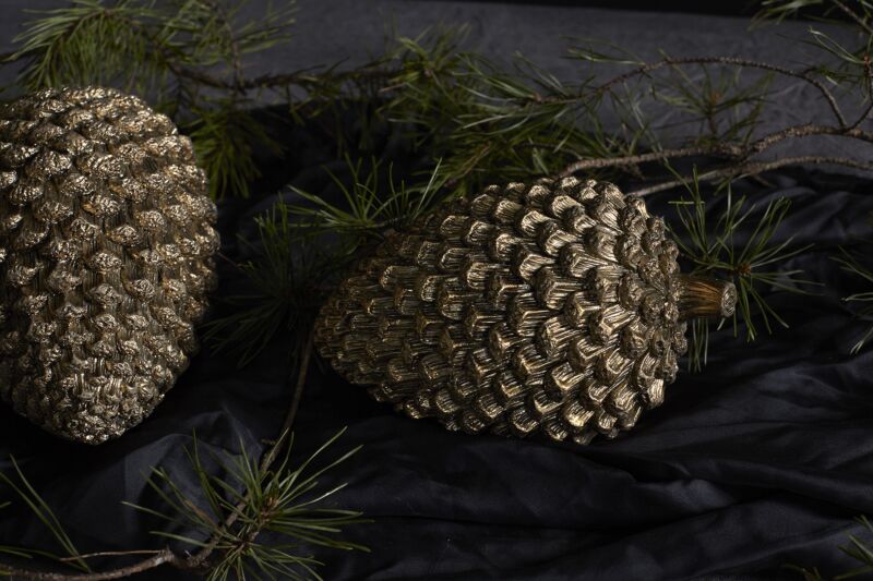 Pinecone