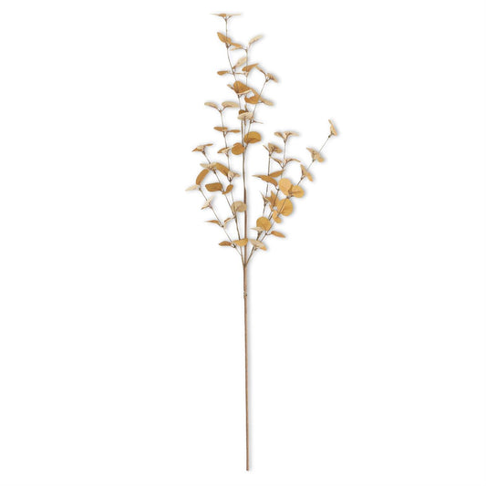 34" Orange Eucalyptus Stem