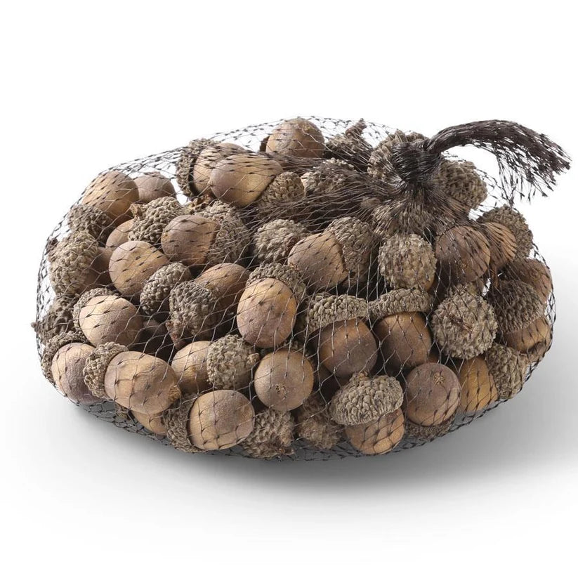Bag of 75 Wood Acorns- Cream