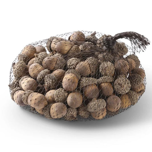 Bag of 75 Wood Acorns- Cream