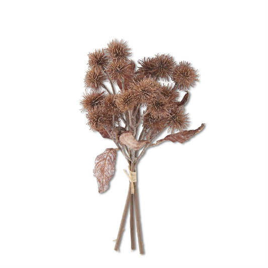 Light Brown Sycamore Stem