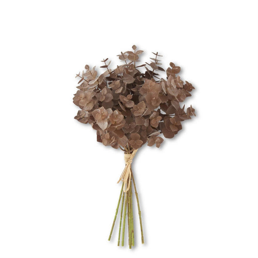 Brown Eucalyptus Bundle (8 Stem)