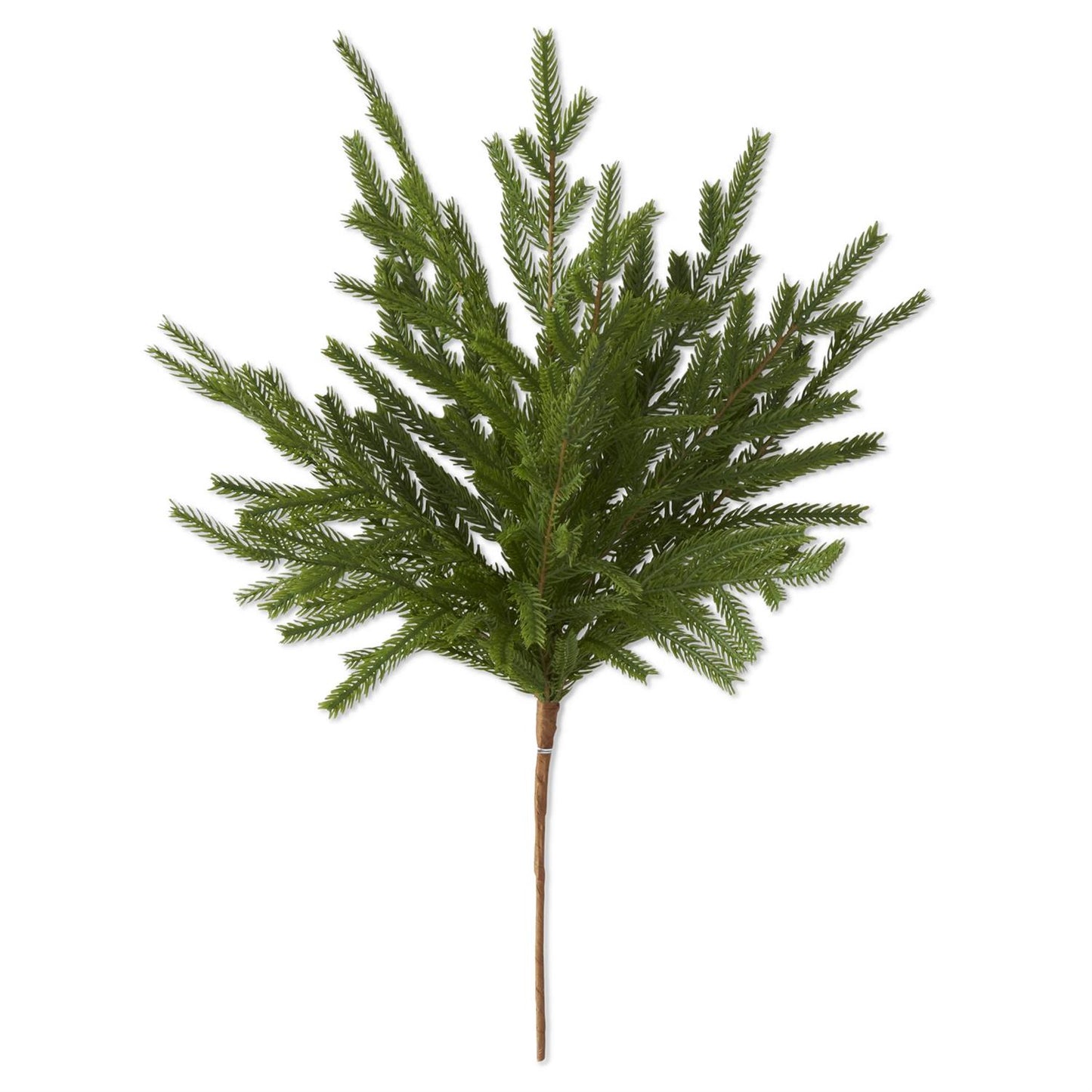 19" Real Touch Norfolk Pine Stem