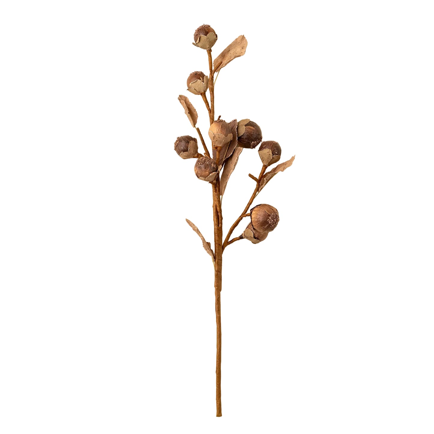 Autumn Nut Spray