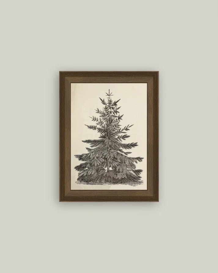 Vintage Pine Tree Framed Art