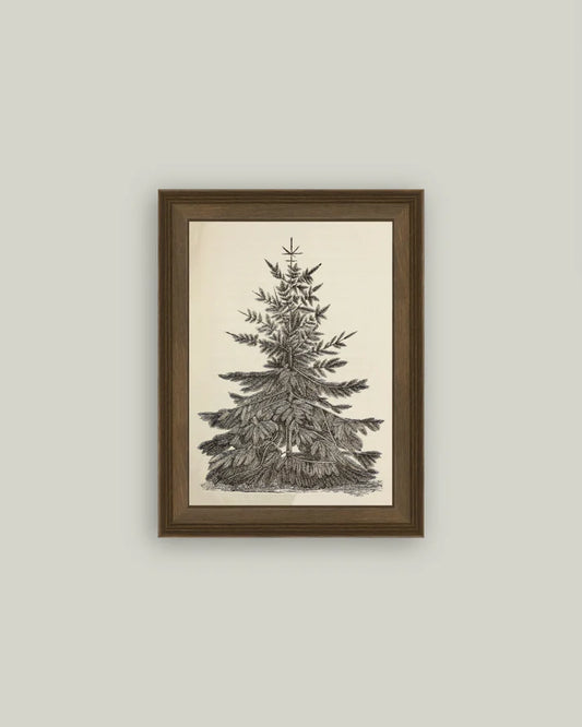 Vintage Pine Tree Framed Art