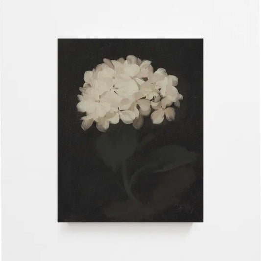 Hydrangea Vintage Art Print 11x14